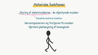 Nervesystemet Motoriske funktioner [upl. by Audrit]