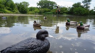 Simple Duck Decoy Spreads for Ponds [upl. by Hilleary]