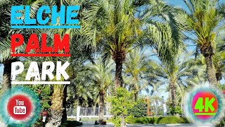 Elche  Spain 4K The Most Beautiful Palm Park To Visit With The Family 🌴🌴🌴 [upl. by Anse948]