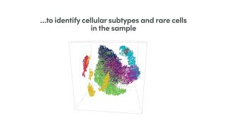 How it Works  Chromium Single Cell Gene Expression Solution [upl. by Pollyanna]