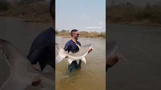 POUSADA REI DAS PIRAIBAS NO ARAGUAIA AQUI VOCÊ PEGAS AS GIGANTES [upl. by Vincelette]