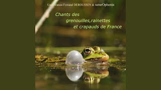 Crapaud accoucheur [upl. by Grethel216]