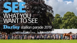 The 2019 Darley stallion parade at Dalham Hall stud [upl. by Schreib]