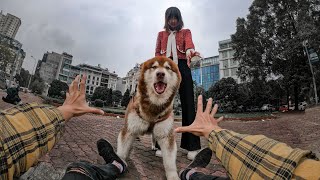 SMART DOG vs PARKOUR THIEF Epic Parkour Chase POV [upl. by Wincer248]