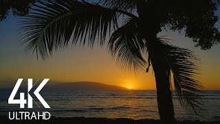 4K Tropical Beach Sunset  10 HOURS Ocean Waves Sounds  Nature Soundscapes [upl. by Tsyhtema494]