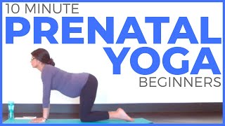 10 minute PRENATAL YOGA for Beginners Safe for ALL Trimesters [upl. by Starr]