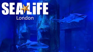 SEA LIFE London Aquarium Vlog May 2021 [upl. by Annor]