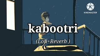 lofi kabootri song anjali raghav kithe chali haryanvi song lofiReverb song youtube [upl. by Noirb]