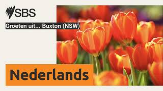 Groeten uit Buxton NSW  SBS Dutch  SBS Nederlands [upl. by Venuti471]