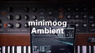 Minimoog Ambient  Ableton MODE [upl. by Yasui]