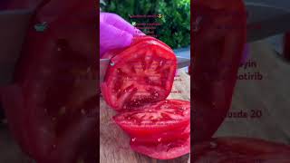 Baqlajonli zakuska 🍆😋 avtorVkusnobySeva youtube food recipe cooking instagram tiktok new [upl. by Malim]