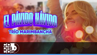 El Pávido Návido Trío Marimbancha  Video [upl. by Newbill]