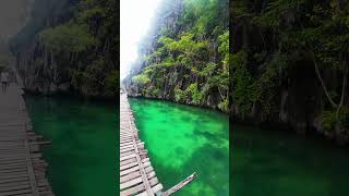 Pathway to KAYANGAN LAKE coron palawan  youtubeshorts philippineadventures videoshort [upl. by Gardas]