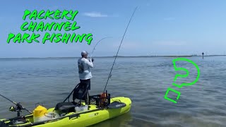 Packery Channel Park Kayak Fishing [upl. by Nica]