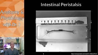 How To Increase Peristalsis  8 Methods To Encourage A Bowel Movement  Ask Eric Bakker [upl. by Butler218]