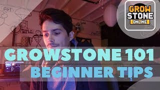 GROWSTONE 101  BEGINNER TIPS IN 2018 [upl. by Ilocin]