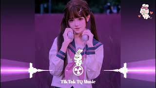 No More Goodbye 越南鼓 DJ抖音版 越南鼓卡点舞 Mất Nước Mắt RinV Remix Tiktok 2024  BDUY House Lak Viral [upl. by Oliver]