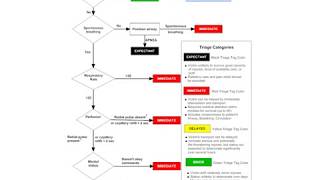 Basics of Patient Triage amp Assessment [upl. by Andros547]