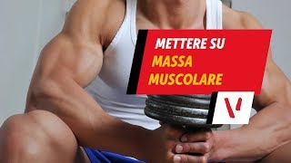 Mettere su massa muscolare [upl. by Ariak]