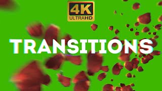 Rose Petals Transitions Green Screen Video Free Transitions for Love amp Valentines Day Gift 4K [upl. by Laenaj]