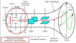 LYCÉE VIRTUEL DES SVT PHÉNOMÈNES ÉLECTRIQUES LIÉS À LINFLUX NERVEUX  1 AFRIQUE DE LOUESTWOLOF [upl. by Berty]