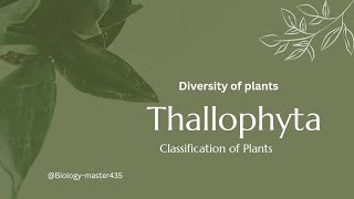 Plant classification Thallophyta  diversity of plants  lower Botany  Bs level  Botanists [upl. by Araeic]