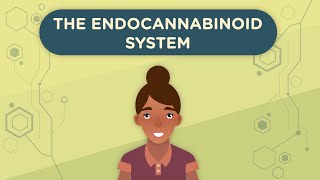 The Endocannabinoid System Part 1 [upl. by Lalad621]