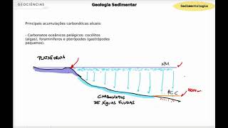 Sedimentologia  Sedimentação Carbonática [upl. by Uel995]