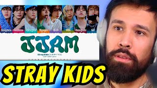 Stray Kids JJAM REACTION [upl. by Emoreg]