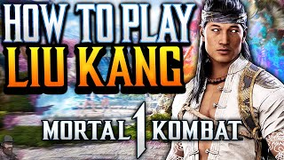 Mortal Kombat 1  How To Play LIU KANG Guide Combos amp Tips [upl. by Papagena754]