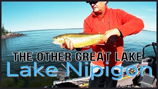 Lake Nipigon Brook Trout [upl. by Esertap]