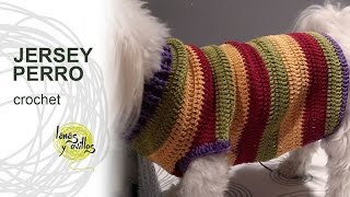 Tutorial Jersey Para Perro Crochet o Ganchillo [upl. by Galan]