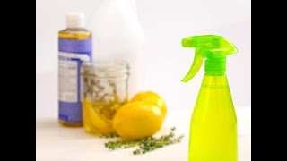 Homemade Natural AllPurpose Cleaner [upl. by Girovard10]