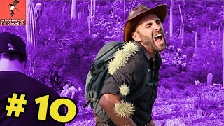 Coyote Peterson screaming in pain compilation  You ask we compile 10 [upl. by Trebreh]