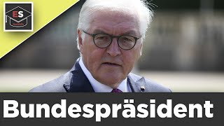 Bundespräsident  FrankWalter Steinmeier  Bundesversammlung  Aufgaben  einfach erklärt [upl. by Kuska214]