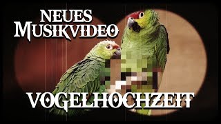 Harpyie amp Krayenzeit  Vogelhochzeit OFFICIAL MUSIKVIDEO 2017 [upl. by Aliahkim]