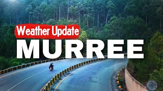 Murree Today Weather Update  murree snow fall  Mallroad Murree [upl. by Hgielyk]