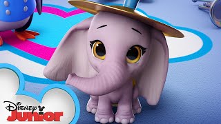 Ellie the Elephant Profile 🐘 TOTS  Disney Junior [upl. by Jezabella873]