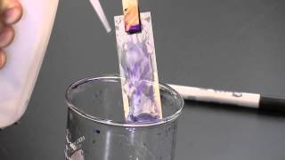 PlantEd Digital Learning Library  Gram Stain Procedure [upl. by Asimaj]