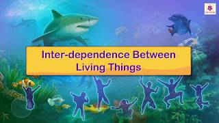 Inter Dependence Between Living Things  Science For Kids  Periwinkle [upl. by Llednav]