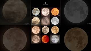 The 12 Full Moons of 2022 🌕 Captured Each and Every Month  moon space universe [upl. by Motteo]