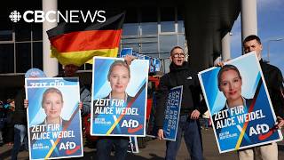 Whats at stake if Germanys AfD party gains seats in upcoming election [upl. by Riebling211]