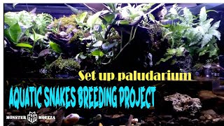 Rainbow water snakes paludarium set up [upl. by Aettam568]