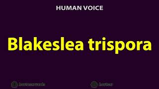 How To Pronounce Blakeslea trispora [upl. by Alyda]