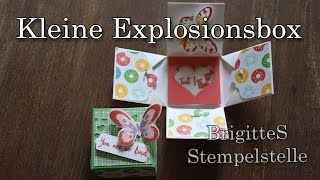 Kleine Explosionsbox mit Schüttelfenster [upl. by Nanice]