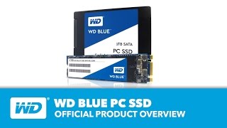 WD Blue SSD  Official Product Overview [upl. by Leahcimaj]