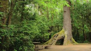 Cape Lookout State Park [upl. by Retlaw]