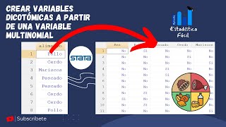 🥩 Crear variables dicotómicas a partir de una variable multinomial Stata [upl. by Bitthia408]