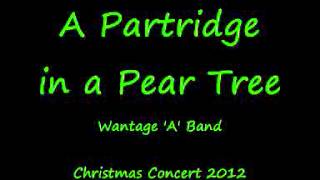 A Partridge in a Pear Tree  12 Days of Christmas [upl. by Levina283]