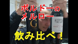 【赤ワイン】フランス、ボルドーのメルロー２本飲み比べ！ [upl. by Eixirt]